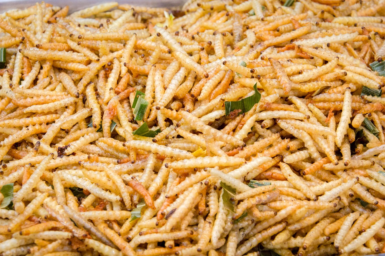 How Eating Insects Could Help the Environment